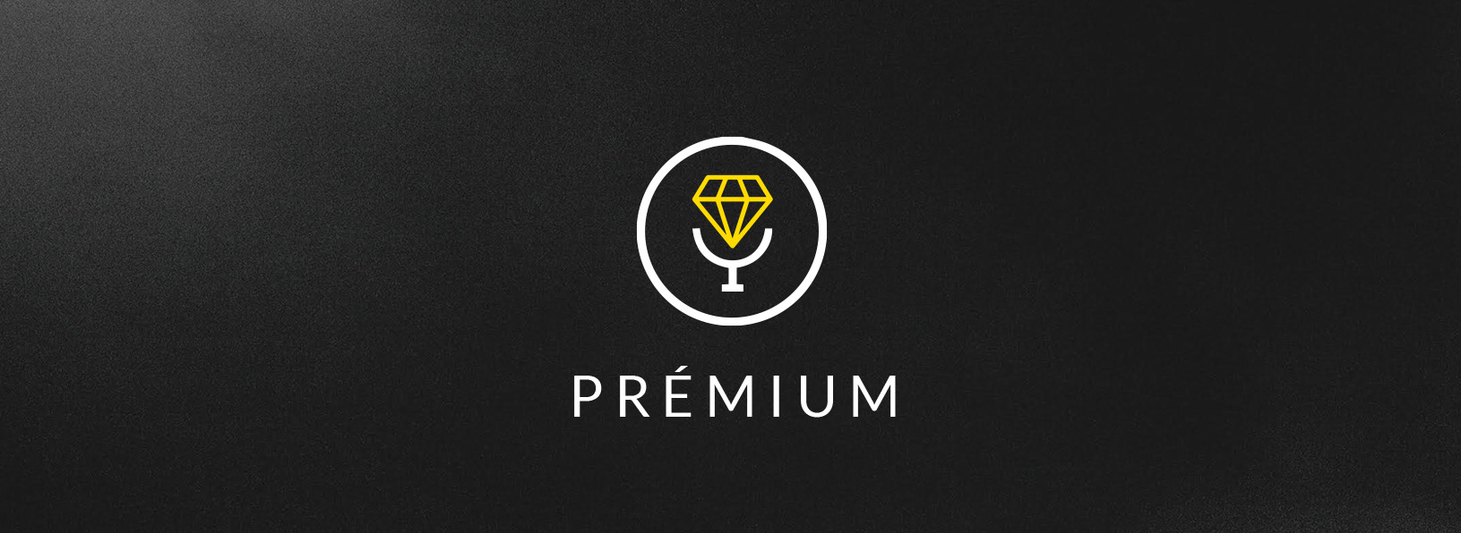 DSS Premium Logo